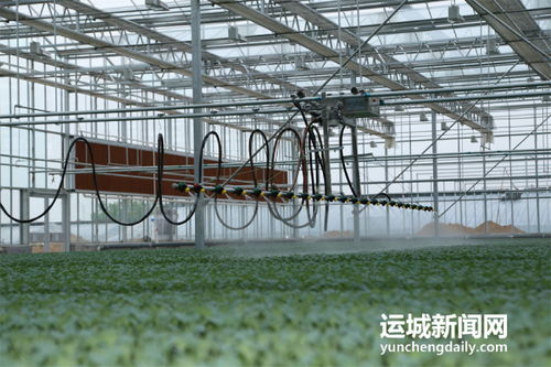 夏縣積極籌備第七屆中國山西特色農(nóng)產(chǎn)品交易博覽會，夯實(shí)初級農(nóng)產(chǎn)品營銷基礎(chǔ)