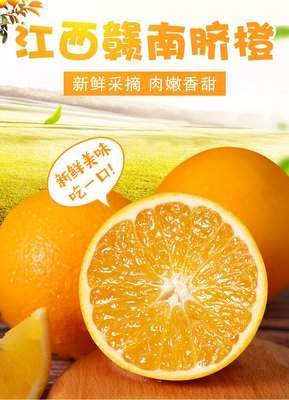 加速推進(jìn)韶關(guān)農(nóng)業(yè)品牌化 粵港澳大灣區(qū)菜籃子韶關(guān)配送中心的實(shí)踐路徑