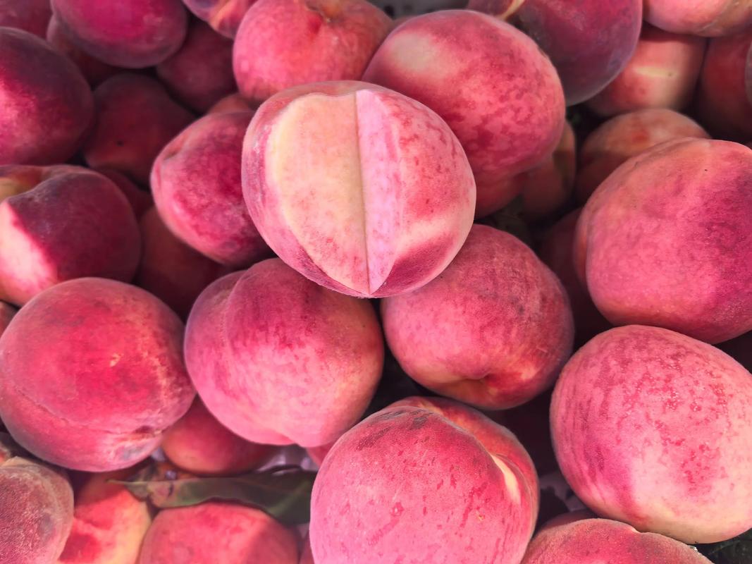 比領(lǐng)導(dǎo)都忙的優(yōu)質(zhì)初級農(nóng)產(chǎn)品