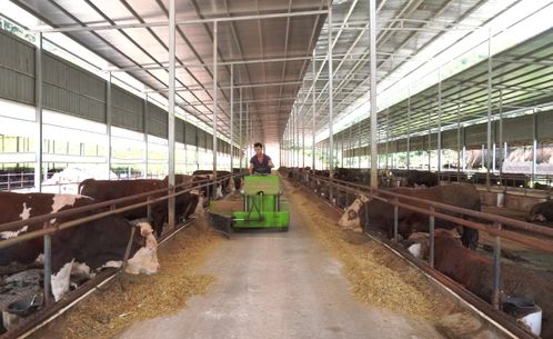 會(huì)昌三款產(chǎn)品入選全國名特優(yōu)新農(nóng)產(chǎn)品公示名單，彰顯初級(jí)農(nóng)產(chǎn)品品質(zhì)新高度