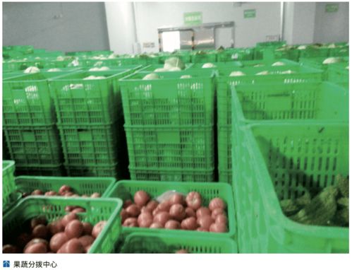 農(nóng)產(chǎn)品冷鏈‘最先一公里’ 基礎(chǔ)設(shè)施亟待發(fā)展，破解初級(jí)農(nóng)產(chǎn)品保鮮難題