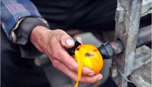 初級(jí)農(nóng)產(chǎn)品 農(nóng)業(yè)行業(yè)利潤的隱形“收割機(jī)”