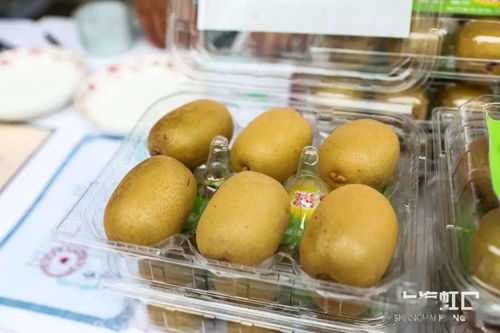 助力脫貧攻堅(jiān)，品味地道風(fēng)物——魯迅公園特色農(nóng)產(chǎn)品直銷活動(dòng)正式啟動(dòng)